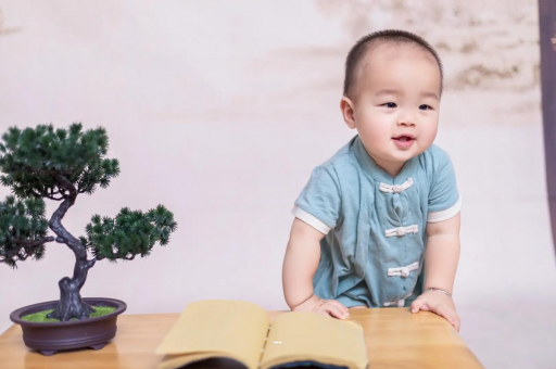 长宁可爱的企鹅宝宝